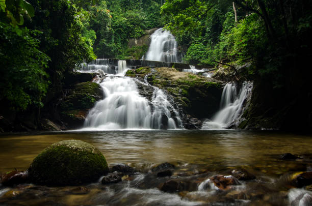 istock Scenic View Of Waterfall In Forest 758787095