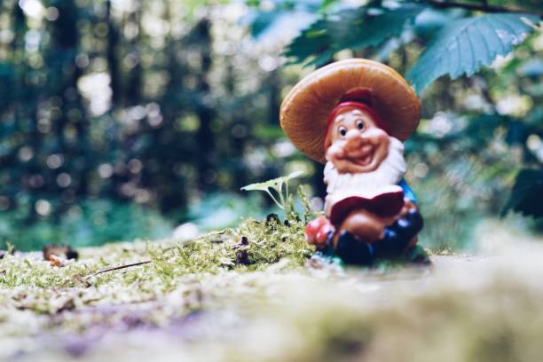 istock Close-Up Of Wet Mushroom On Field 758788809