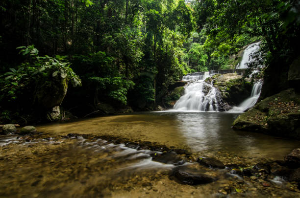 istock Scenic View Of Waterfall In Forest 758793945