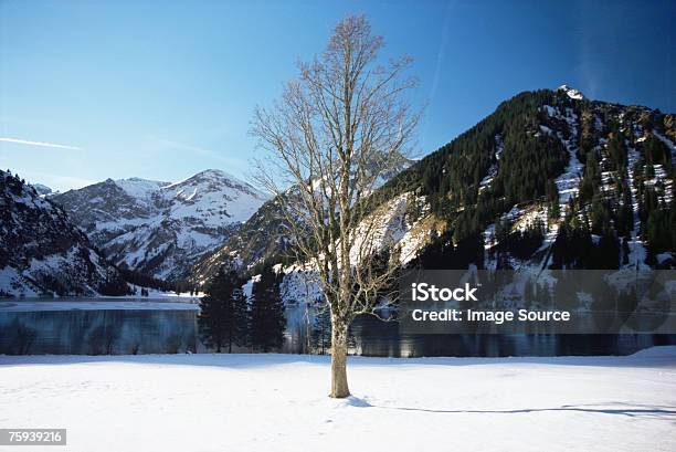 Vils Alp Lago Foto de stock y más banco de imágenes de Aire libre - Aire libre, Austria, Azul