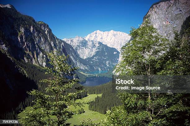 Vista Di Upper Lake - Fotografie stock e altre immagini di Albero - Albero, Ambientazione esterna, Bellezza naturale