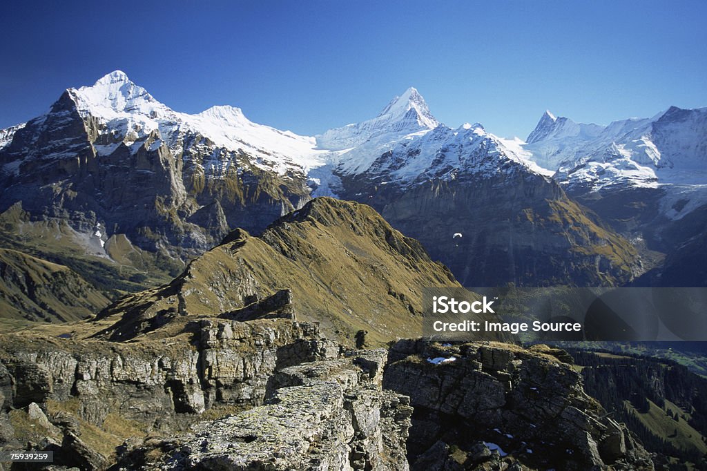 oberland Berner - Foto de stock de Aire libre libre de derechos