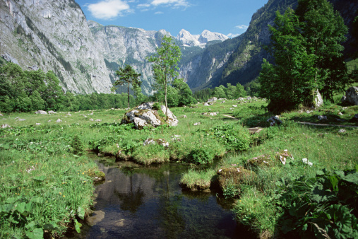 Veserice creek in spring color fresh morning near Jachymov spa town