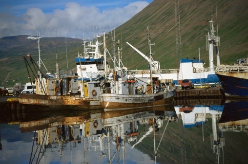 fishing vessel Tordenskjold was built for halibut, but participated in more fisheries than any of the other schooners