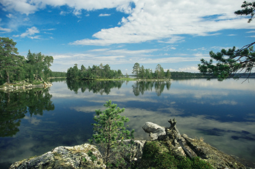 Inari, Finland  The wooded shoreline of the Inari Lake and reflection.
