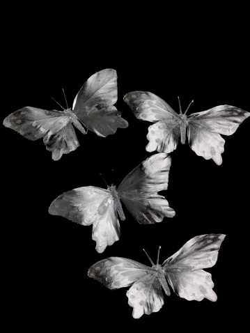 set of silhouettes of butterflies