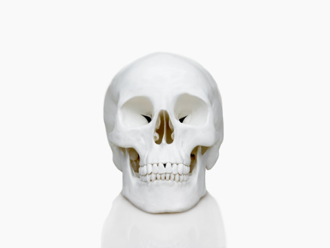 White human skull with red roses isolated on black