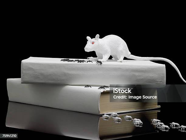 Rat And Spiders Stock Photo - Download Image Now - Fear, Rat, Artificial