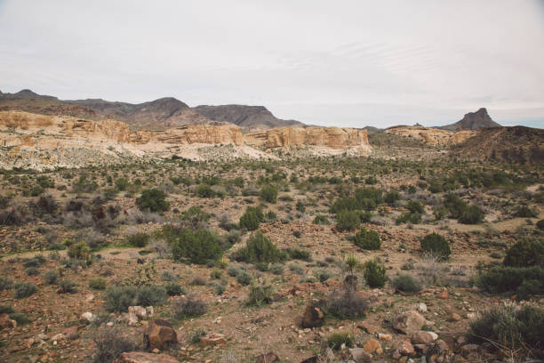 istock Scenic View Of Desert Against Sky 760291485