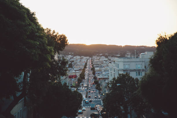 istock Trees In City Against Clear Sky 760341267
