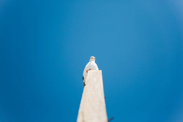 Photo Taken In United States, Malibu