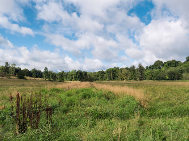 istock Scenic View Of Field Against Sky 766453045