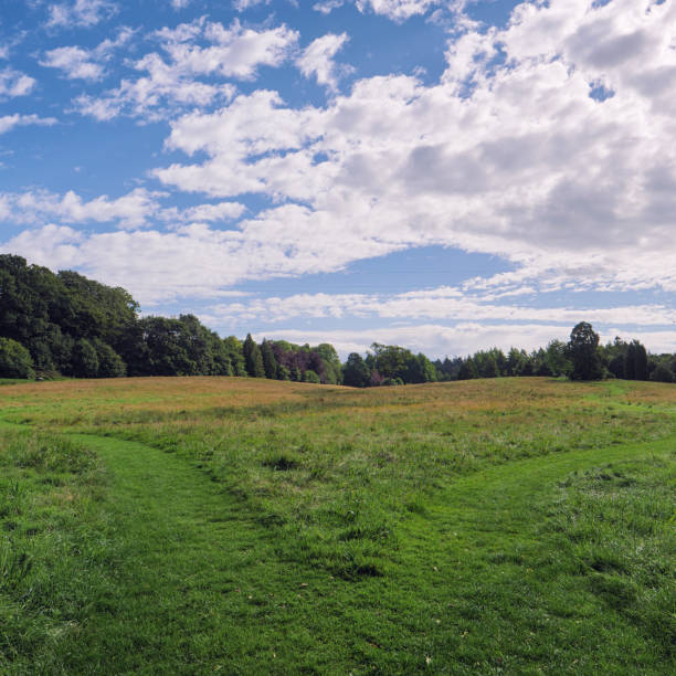 istock Scenic View Of Field Against Sky 766453857