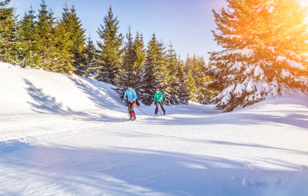 istock Friends Snowboarding On Snowcapped Field During Winter 768023295