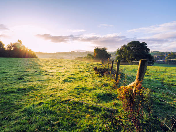 istock Scenic View Of Landscape Against Sky 768072061