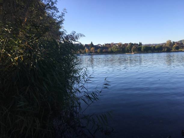 istock Scenic View Of Lake Against Clear Blue Sky 769861339