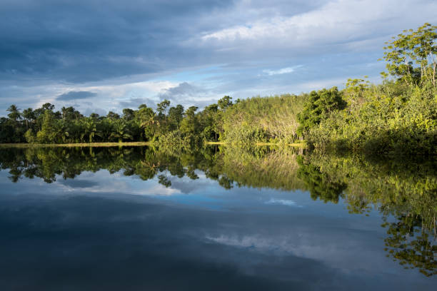 istock Scenic View Of Lake Against Sky 769883811