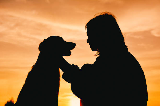 istock Silhouette Woman With Dog Against Sky During Sunset 771532507