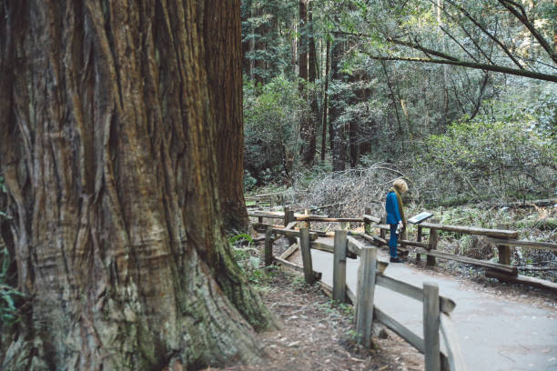 istock Woman Standing Against Trees At Forest 771537057