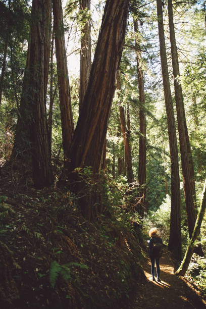 istock Mid Adult Woman Standing In Forest 771540365