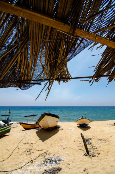 istock Scenic View Of Beach Against Sky 771616107