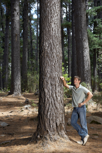 Young man hugging an old tree in the forest