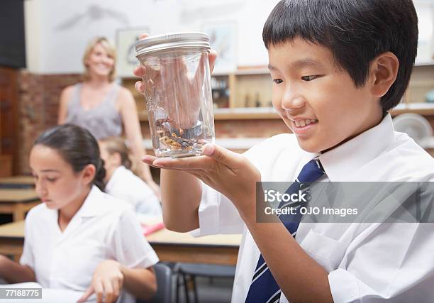 Studenten In Scienceklasse Stockfoto und mehr Bilder von Jungen - Jungen, Lernen, Wissenschaft