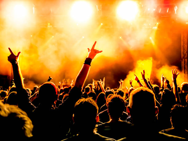 istock Crowd At Music Concert 773123413