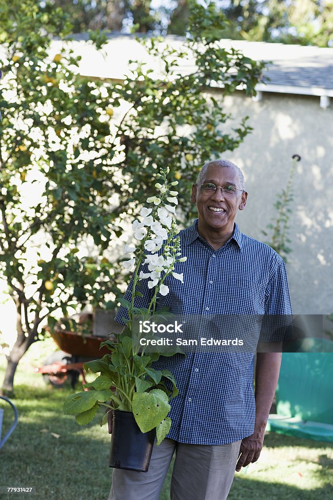 Homem segurando uma Planta de vaso ao ar livre - Royalty-free 65-69 anos Foto de stock