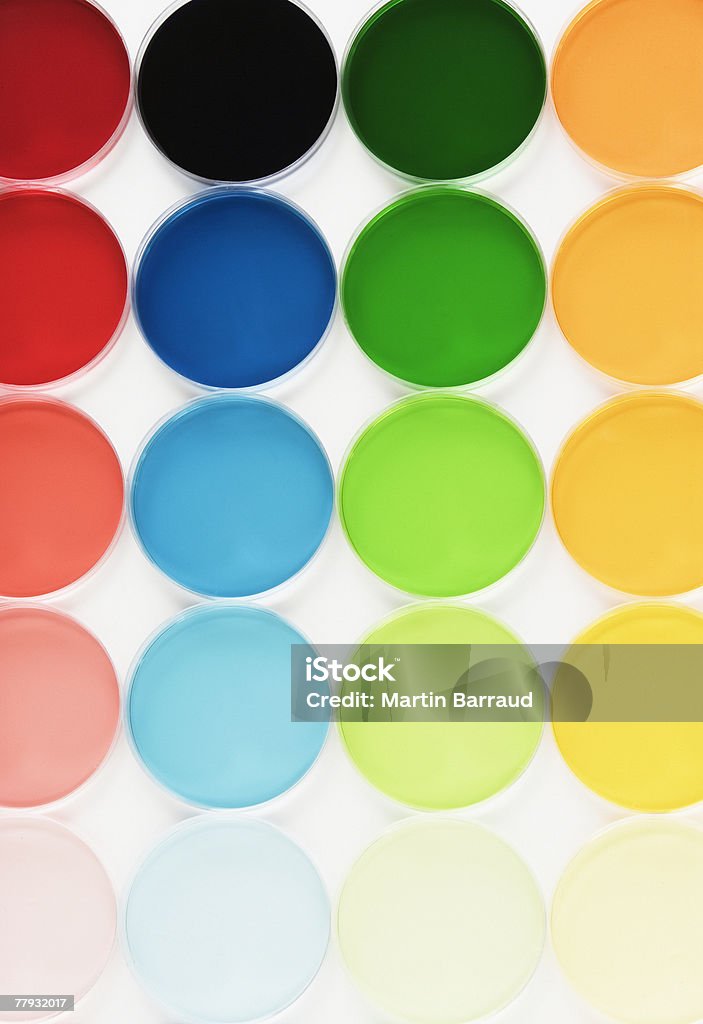 열 색상화 페트리 접시 - 로열티 프리 0명 스톡 사진