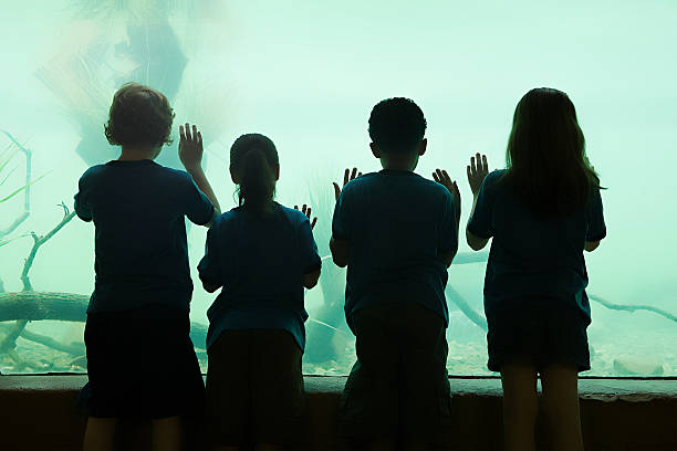 dzieci w aquarium - discovery elementary school field trip zoo zdjęcia i obrazy z banku zdjęć