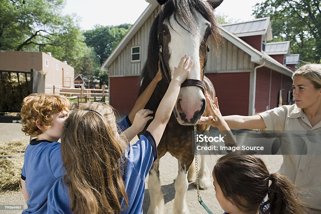 お子様撫でる馬 - ふれあい動物園のロイヤリティフリーストックフォト