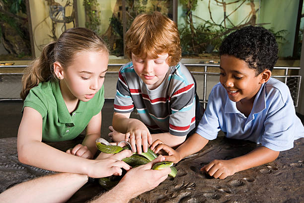 dzieci dotykania snake - discovery elementary school field trip zoo zdjęcia i obrazy z banku zdjęć