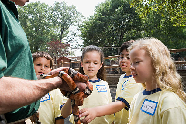 dzieci patrząc na snake - discovery elementary school field trip zoo zdjęcia i obrazy z banku zdjęć