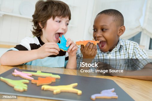 istock Boys eating cookies 79065114