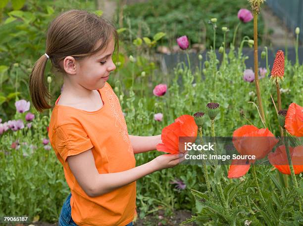 Uma Menina Segurando Um Papoila - Fotografias de stock e mais imagens de Ao Ar Livre - Ao Ar Livre, Criança, De aparência caucasiana