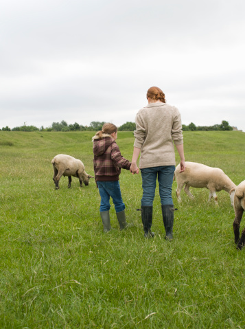 Mother and daughter stroking sheep on pasture. Farm animals