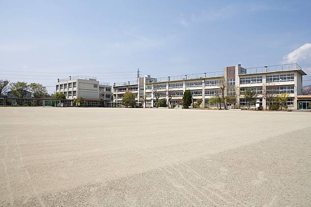 une école - schoolyard photos et images de collection