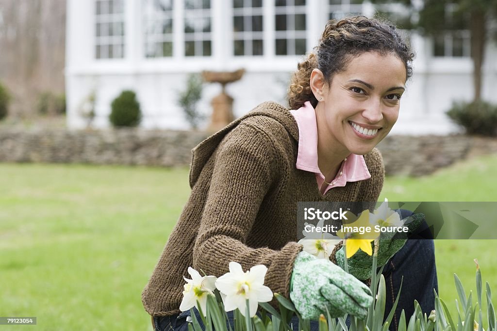 Mujer de jardinería - Foto de stock de Narciso - Familia del lirio libre de derechos