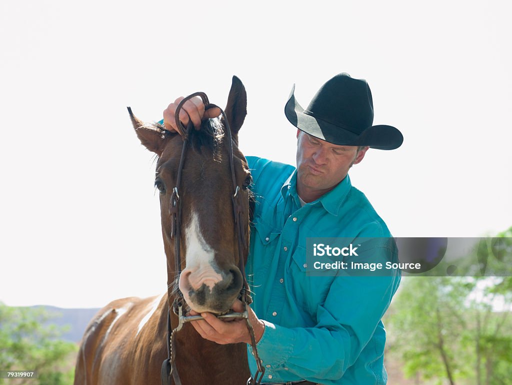 Man putting bridle on horse  30-39 Years Stock Photo