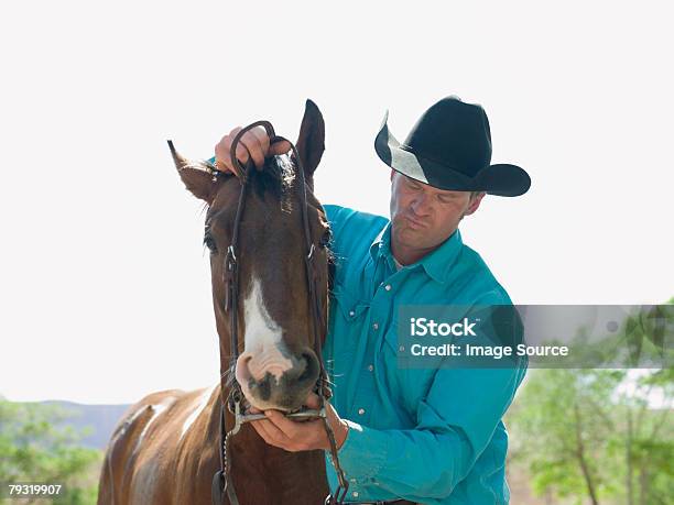 Man Putting Bridle On Horse Stock Photo - Download Image Now - 30-39 Years, Adult, Adults Only