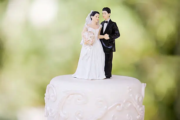 Photo of Bride and groom figurines