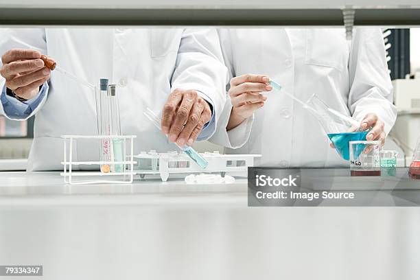 Scientists Conducting An Experiment Stock Photo - Download Image Now - Laboratory, Scientist, Science