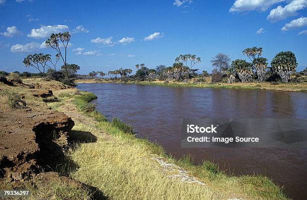 Fiume Ewaso Nyiro - Fotografie stock e altre immagini di Africa - Africa, Ambientazione esterna, Barriera