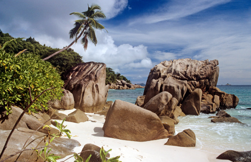 Seychelles is the most beautiful tropical islands of the world's in the Indian Ocean. Composite photo
