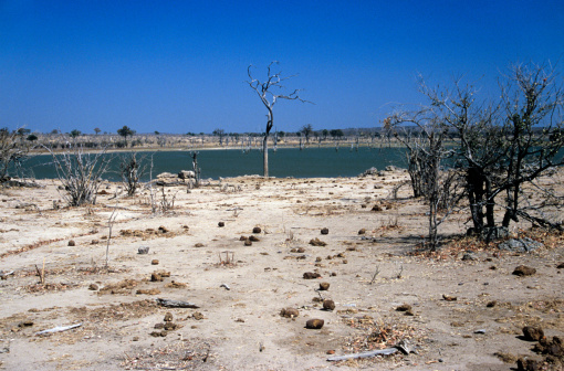 Mali, Africa. Wood fish merchant boats on the dirty Niger river