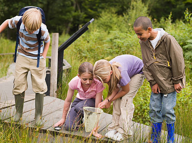 children at nature reserve - nature animal themes wildlife outdoors стоковые фото и изображения