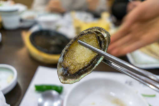 close up of cooked roasted sea abalone. Jeju island, south korea