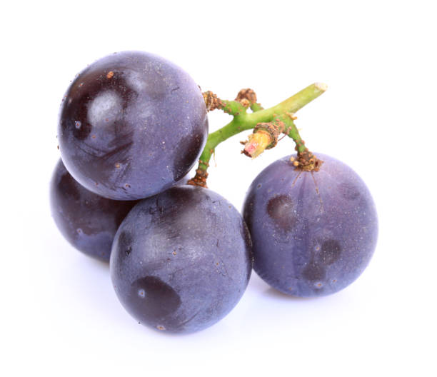 uve fresche isolate su sfondo bianco - dark blue grapes foto e immagini stock