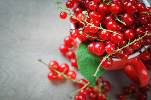 istock Ripe red currants on a wooden table 800005290